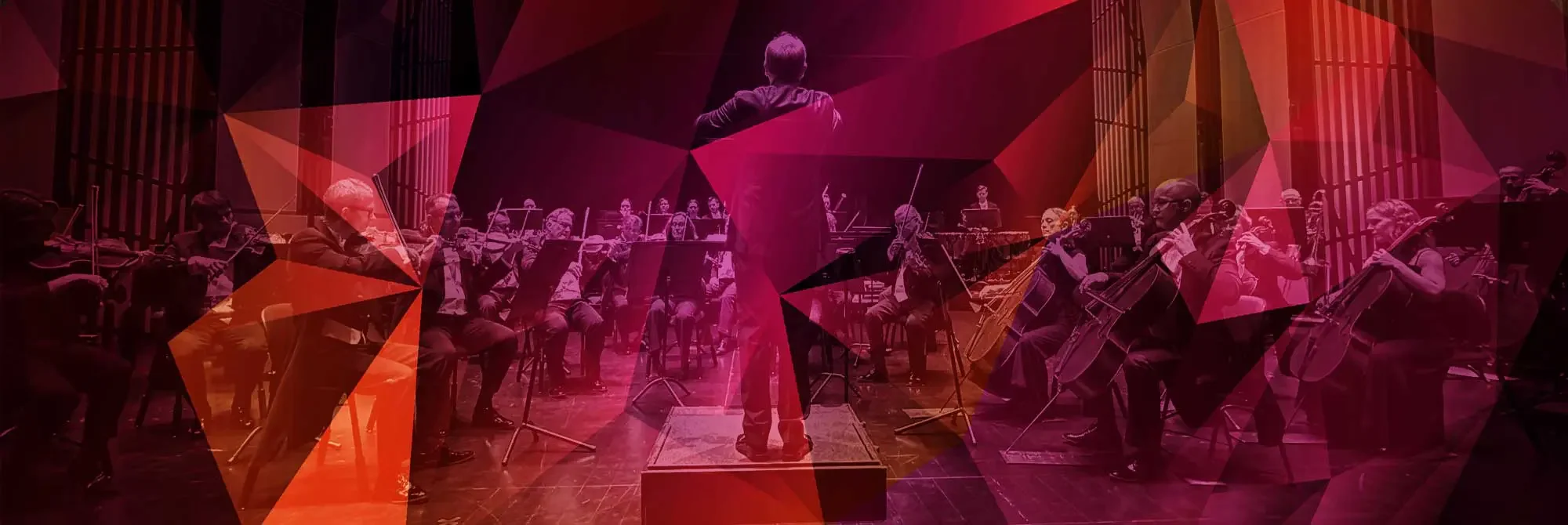 Violin 2 Stämledare Wermland Opera