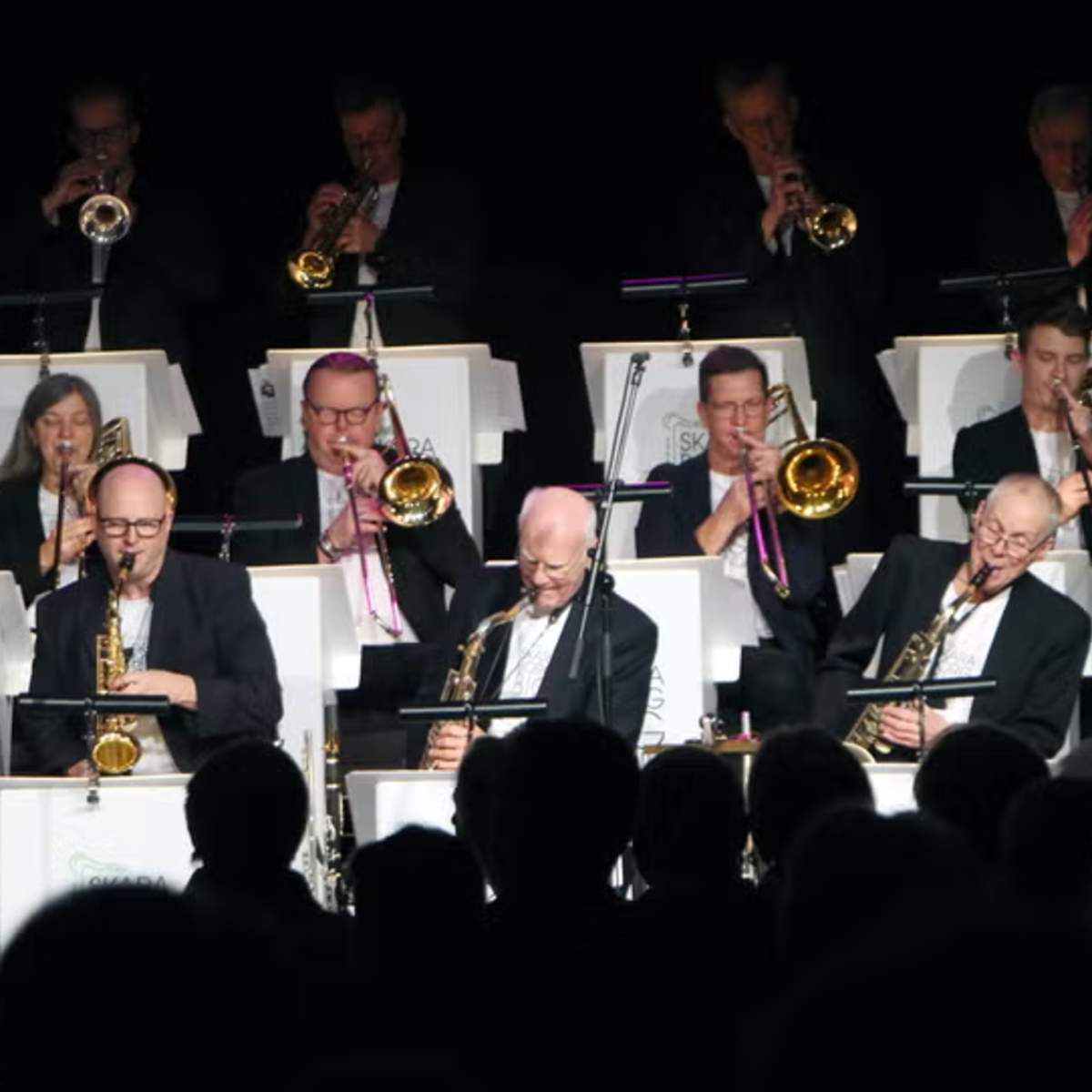 SkaraBorgBigBand