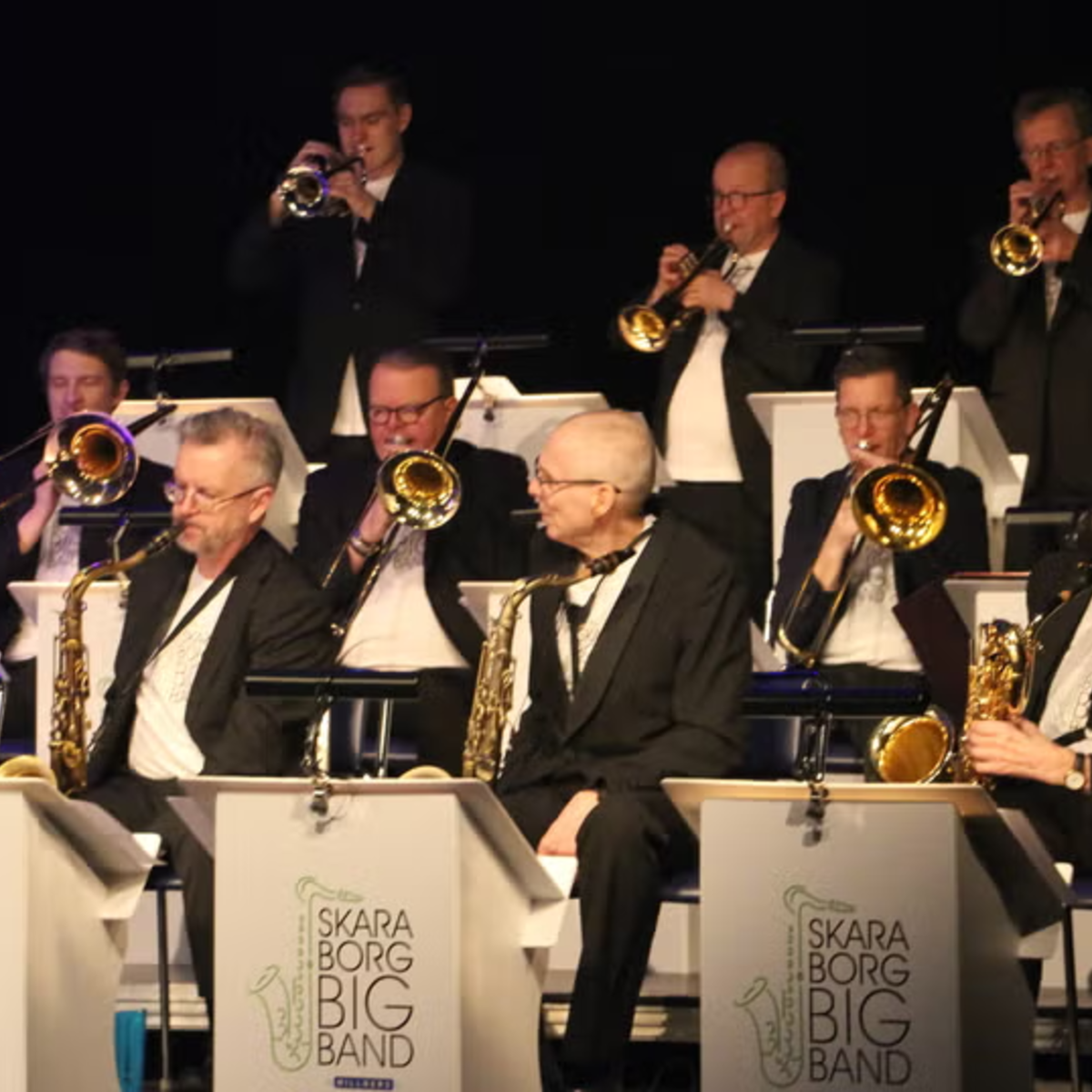 SkaraBorgBigBand hyllar Tina Turner