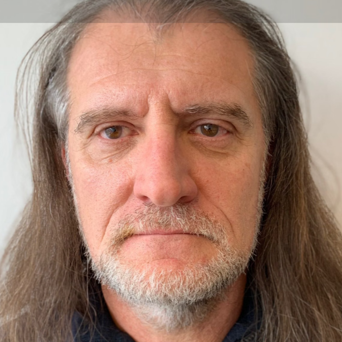 miodrag3.png